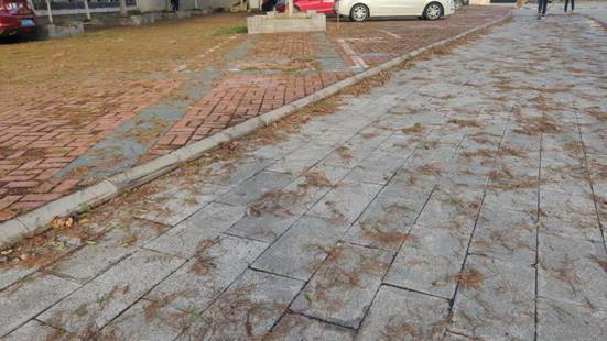 1894a78d2ccbb9928f5086c1b728941